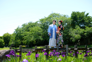 *5月は菖蒲もキレイ*