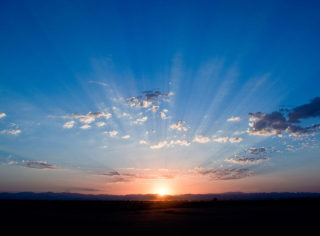 謹賀新年 本年も宜しくお願い申し上げます!