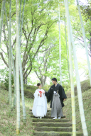 ＊爽やか新緑フォト＊