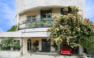 バラが見頃です♪