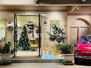 ✴︎✴︎✴︎LaVue's X'mas✴︎✴︎✴︎