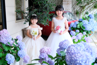***紫陽花と小さなハナヨメさん***