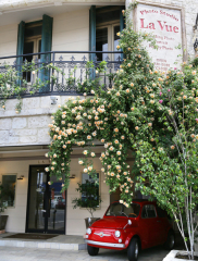 バラが咲きました♪♪♪