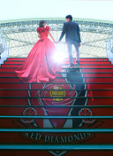 ＊LaVue埼玉スタジアム2002プラン＊450カットデータ付きのご案内