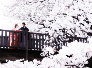 ＊桜ロケーションフォトのご予約可能日について＊