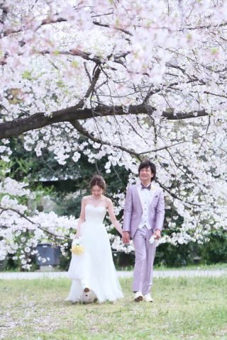 ***桜ロケーション承り中***