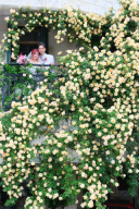 ＊＊プチ挙式＆バラフォト＊＊