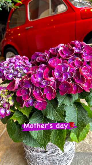 ***Mother's day***