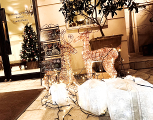 ✴︎✴︎✴︎✴︎✴︎X'masイルミ✴︎✴︎✴︎✴︎✴︎