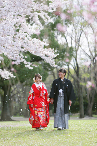桜と一緒にロケーションフォトはいかが???