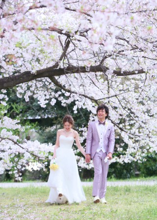 *桜3〜4分咲き*