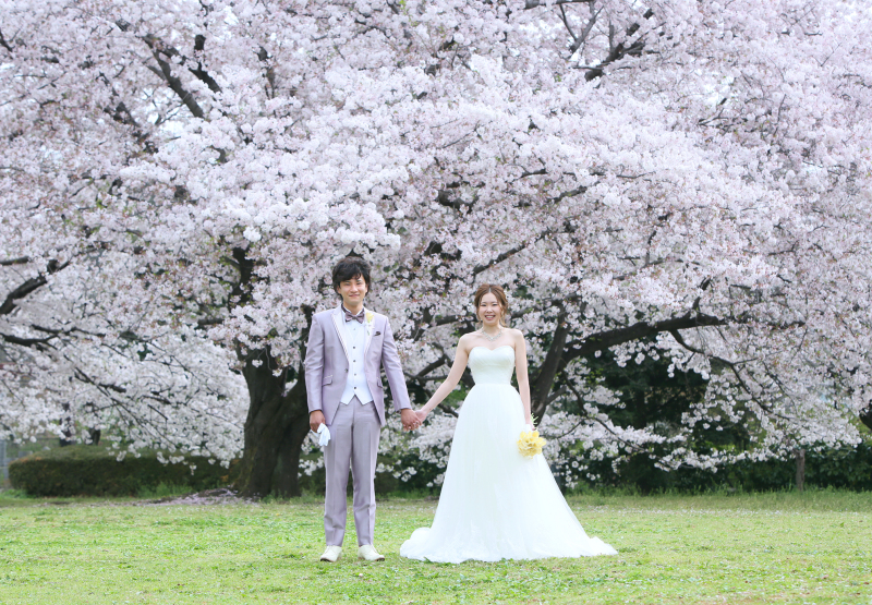 桜ロケ＊＊＊ご予約受付中です♪