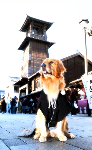 ＊ロケフォトはペットも一緒に＊