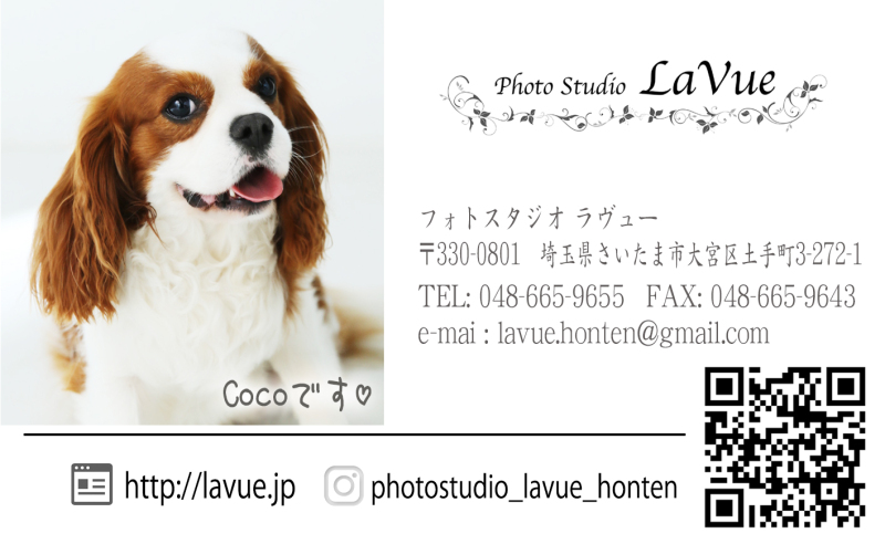 ＊看板犬のCOCOもご来店お待ちしております＊
