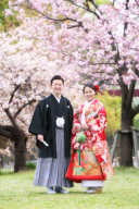 桜ロケ受付4/2,4/3空きがあります♪