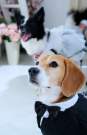 ＊ぼくたちもブライダルフォト撮るよ♪＊