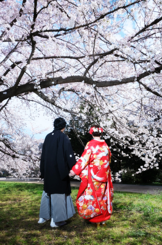 *桜ロケーション*
