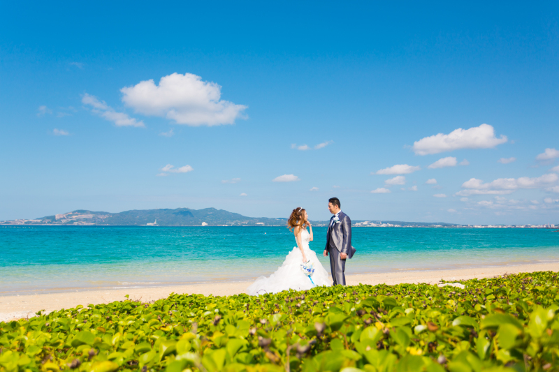 ボタニカルフォト