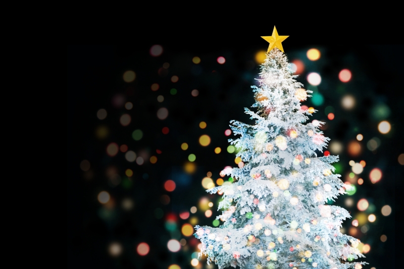 沖縄のクリスマス♪