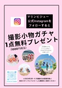 マリンビジュー公式Instagramフォローキャンペーン