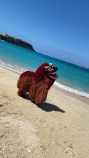 よくある質問~美寿留ちゃんについて~