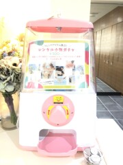 今日は○○の日!!