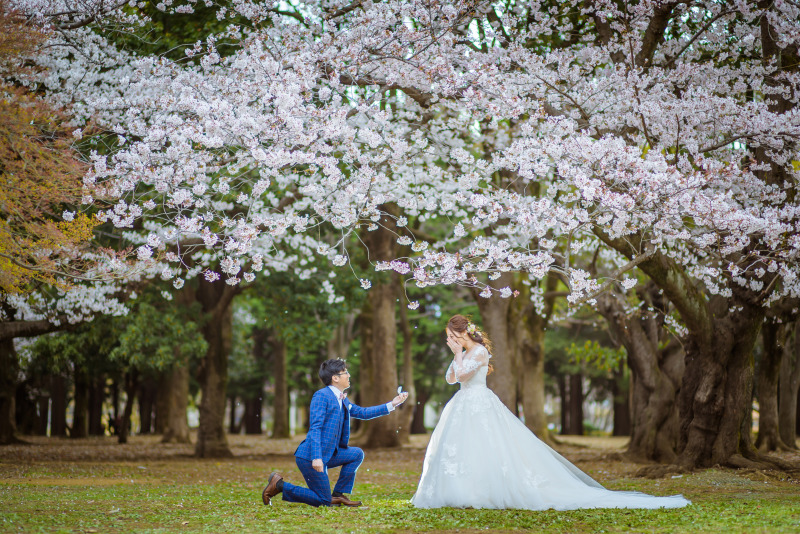 まだ間に合う！桜ロケーションフォト！