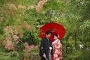 【東郷神社】紅葉シーズン到来!