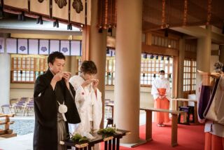 東郷神社ロケーションプランのご紹介♪