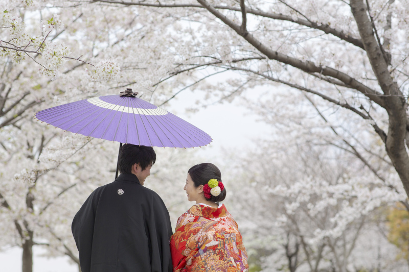 まだ間に合う！桜ロケーションフォト！