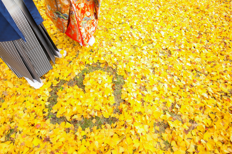 紅葉の撮影も受付中です