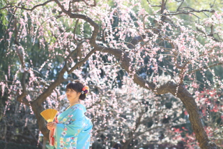 2月中旬~3月上旬に梅が咲きます