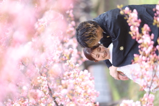 桜ロケーション撮影もまだまだご予約受付中♡