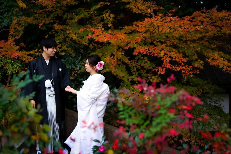 紅葉の撮影も受付中です
