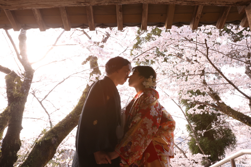 桜ご予約、まだ間に合います♪