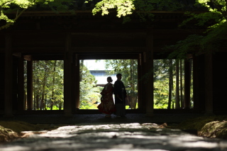 新緑ロケーション♪