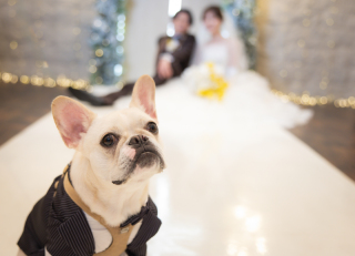 可愛いペット撮影♡