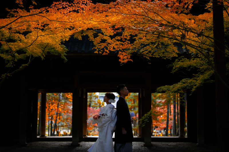 紅葉早割キャンペーン