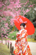 岡山後楽園-梅-