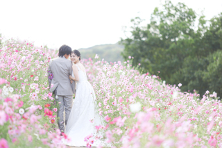 【秋】ドレスロケーション×チャペル撮影