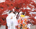 紅葉の撮影も受付中です