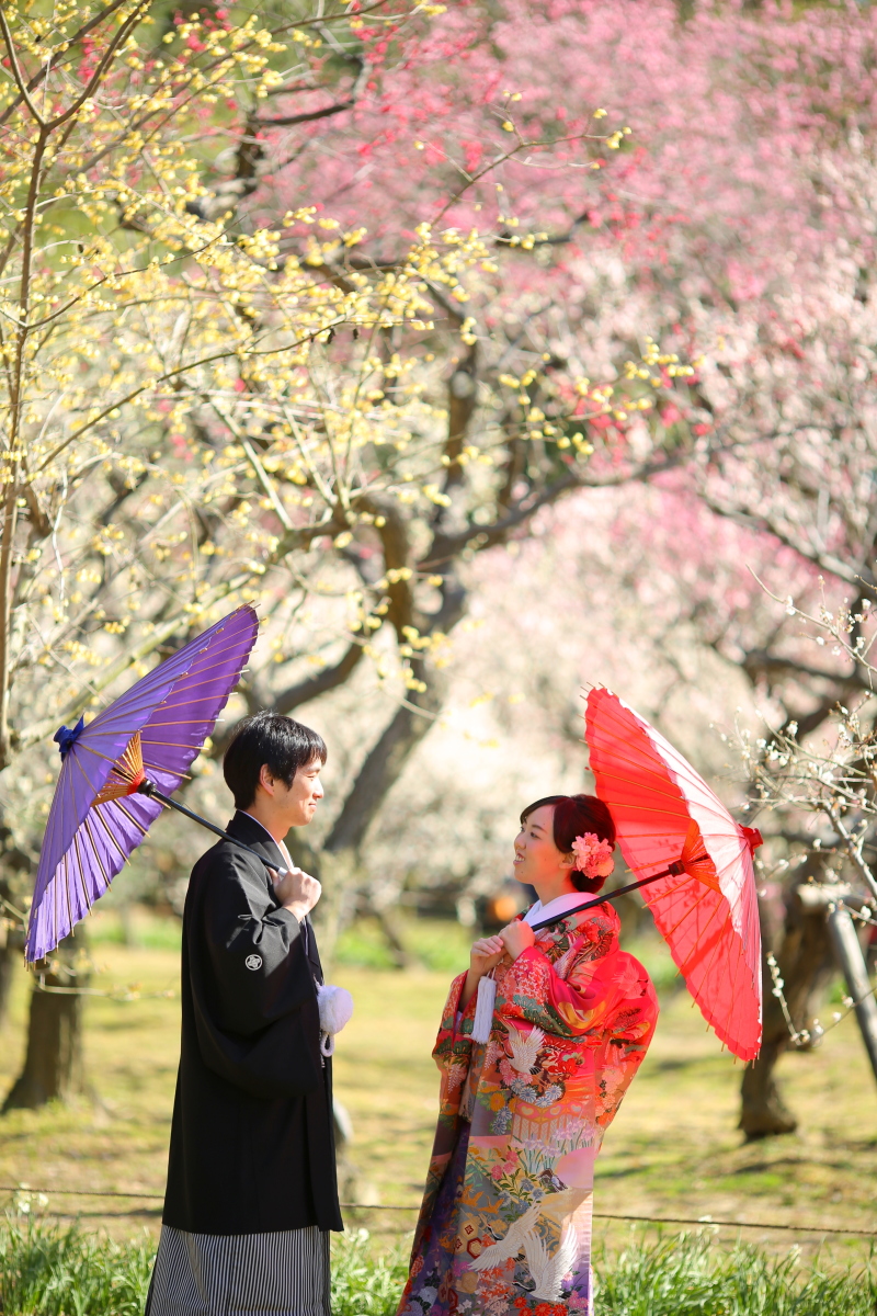 ★必見!桜ロケ空き情報★