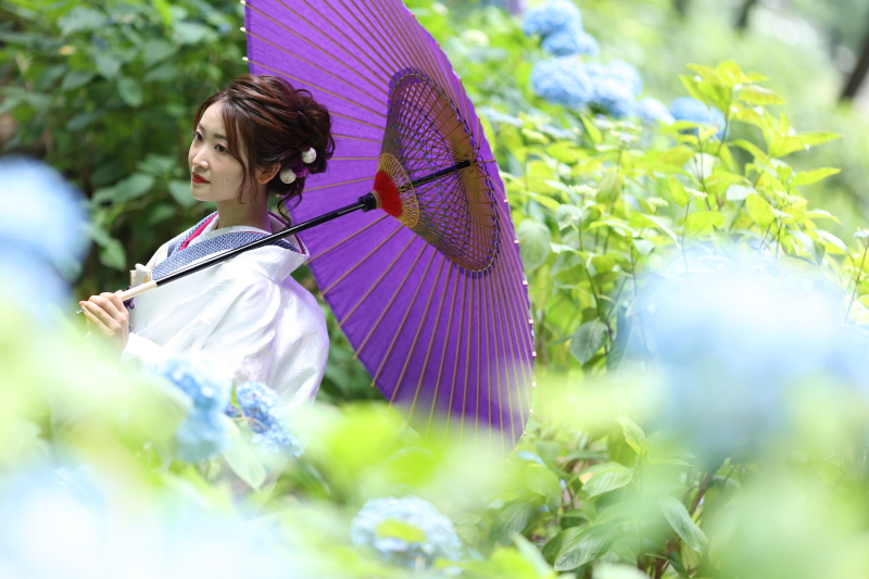 紫陽花ロケ★