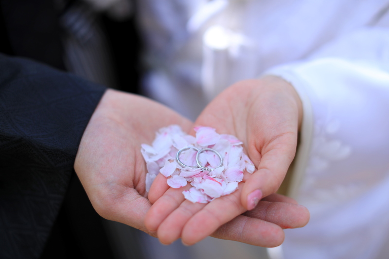 ★必見!桜ロケ空き情報★