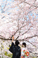 もうすぐやってきますよ