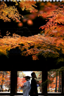 紅葉撮れたて★