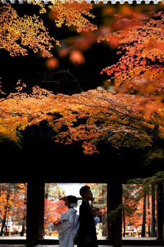 紅葉撮れたて★