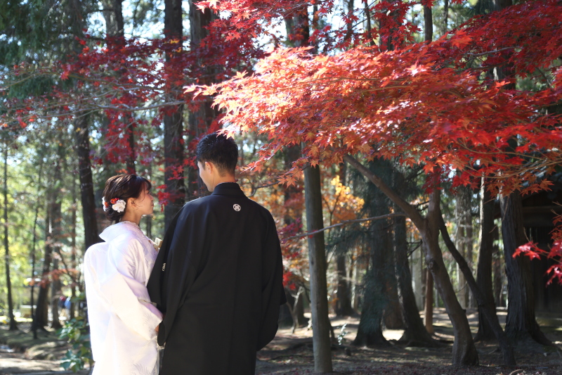紅葉★ロケーション撮影