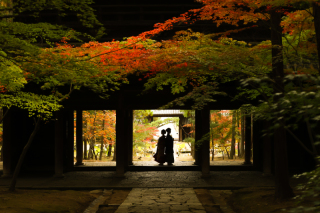 紅葉ロケーションまだ間に合います♪