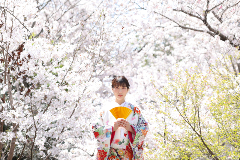 SAKURA*